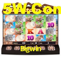 Bigwin: Seu Especialista em Apostas Esportivas Brasileiras